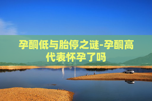 孕酮低与胎停之谜-孕酮高代表怀孕了吗