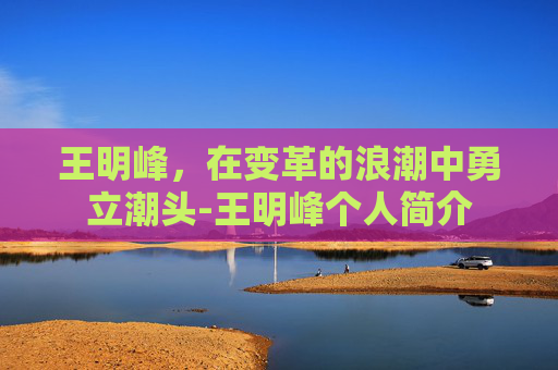 王明峰，在变革的浪潮中勇立潮头-王明峰个人简介