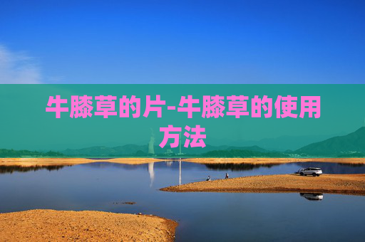 牛膝草的片-牛膝草的使用方法