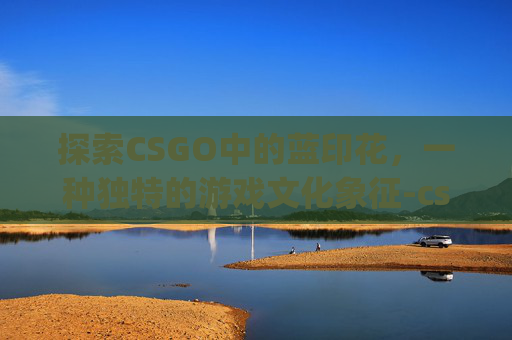 探索CSGO中的蓝印花，一种独特的游戏文化象征-csgo便宜好看的蓝色印花