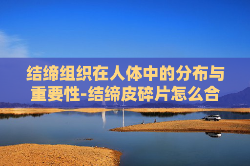 结缔组织在人体中的分布与重要性-结缔皮碎片怎么合成啊