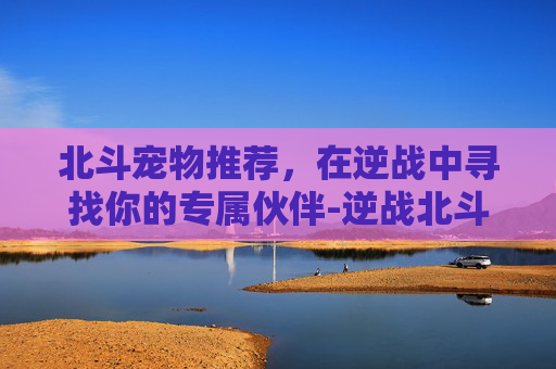 北斗宠物推荐，在逆战中寻找你的专属伙伴-逆战北斗宠物推荐最新