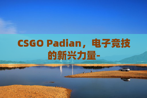 CSGO Padian，电子竞技的新兴力量-