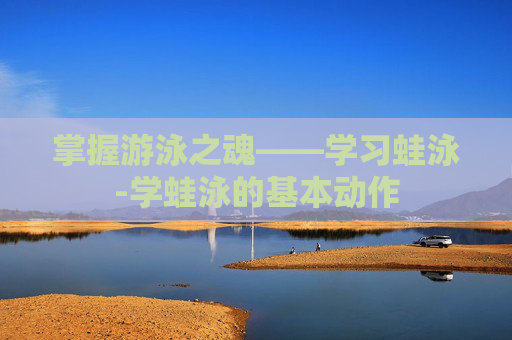 掌握游泳之魂——学习蛙泳-学蛙泳的基本动作