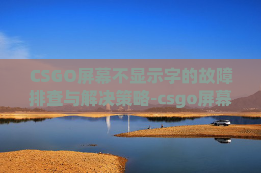 CSGO屏幕不显示字的故障排查与解决策略-csgo屏幕不显示不出来