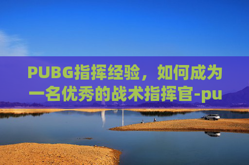 PUBG指挥经验，如何成为一名优秀的战术指挥官-pubg指挥思路