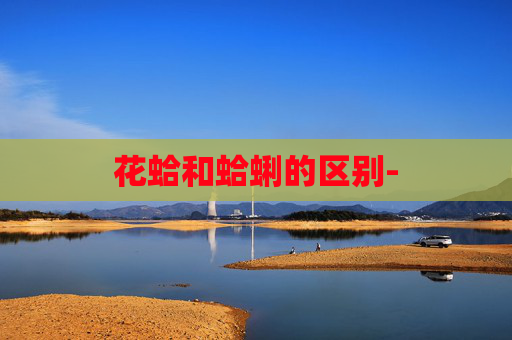 花蛤和蛤蜊的区别-