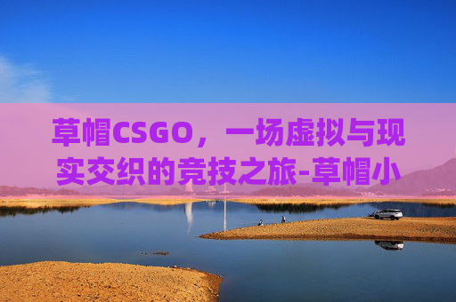 草帽CSGO，一场虚拟与现实交织的竞技之旅-草帽小子vlog