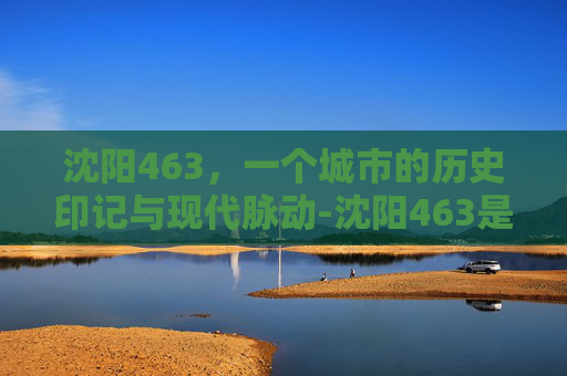 沈阳463，一个城市的历史印记与现代脉动-沈阳463是什么医院地址电话