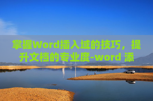 掌握Word插入域的技巧，提升文档的专业度-word 添加域