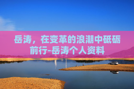 岳涛，在变革的浪潮中砥砺前行-岳涛个人资料