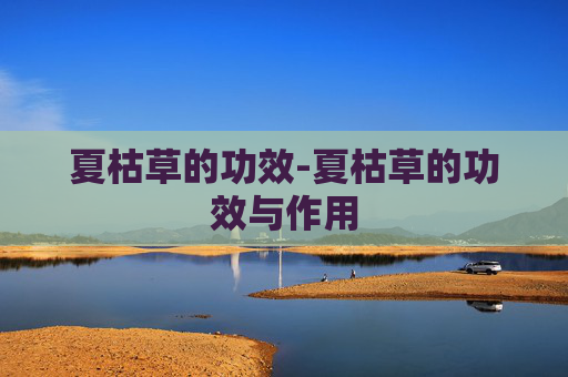 夏枯草的功效-夏枯草的功效与作用