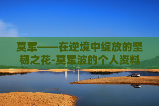莫军——在逆境中绽放的坚韧之花-莫军波的个人资料