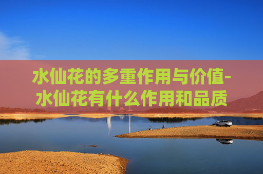 水仙花的多重作用与价值-水仙花有什么作用和品质