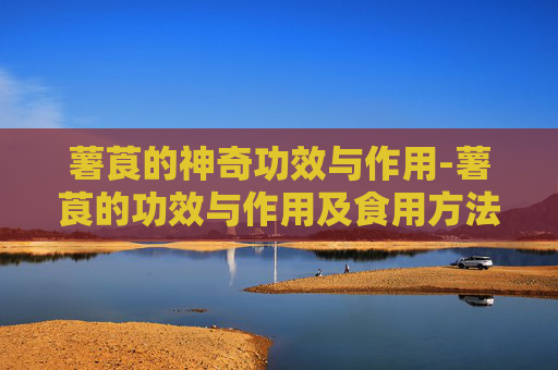 薯莨的神奇功效与作用-薯莨的功效与作用及食用方法