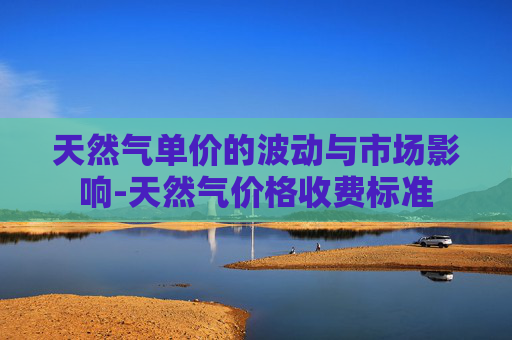 天然气单价的波动与市场影响-天然气价格收费标准
