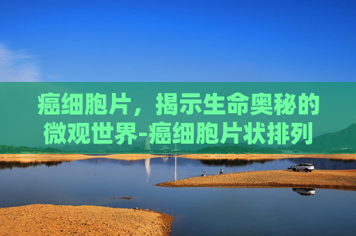 癌细胞片，揭示生命奥秘的微观世界-癌细胞片状排列