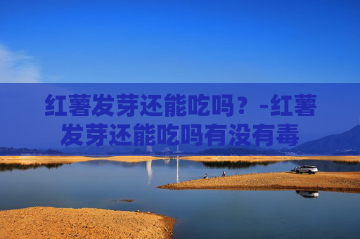 红薯发芽还能吃吗？-红薯发芽还能吃吗有没有毒