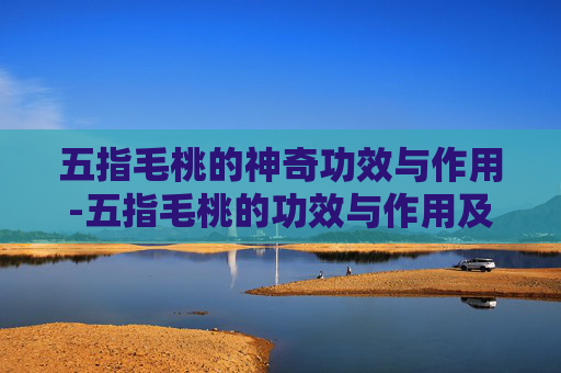 五指毛桃的神奇功效与作用-五指毛桃的功效与作用及食用方法
