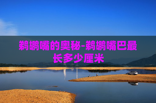 鹈鹕嘴的奥秘-鹈鹕嘴巴最长多少厘米