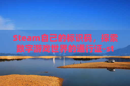 Steam自己的标识码，探索数字游戏世界的通行证-steam上的标签怎么改