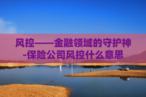 风控——金融领域的守护神-保险公司风控什么意思