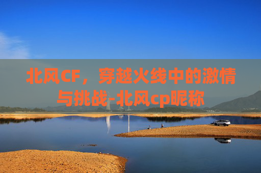 北风CF，穿越火线中的激情与挑战-北风cp昵称