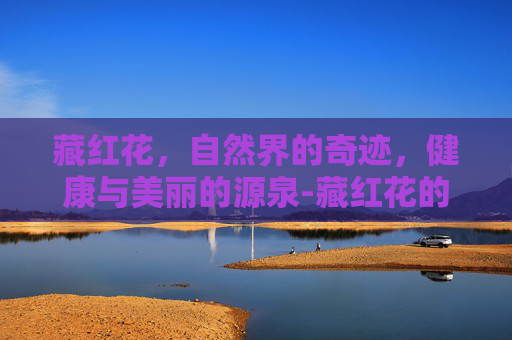 藏红花，自然界的奇迹，健康与美丽的源泉-藏红花的功效和作用主治什么病