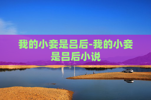 我的小妾是吕后-我的小妾是吕后小说
