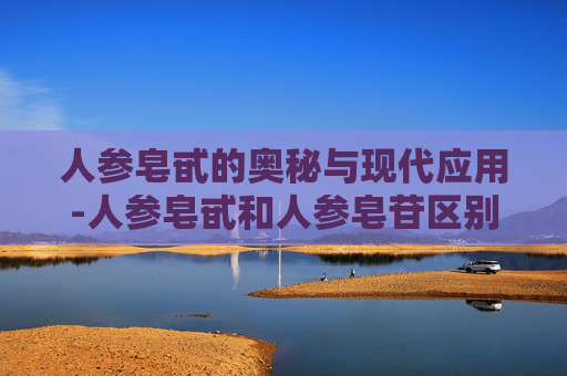 人参皂甙的奥秘与现代应用-人参皂甙和人参皂苷区别