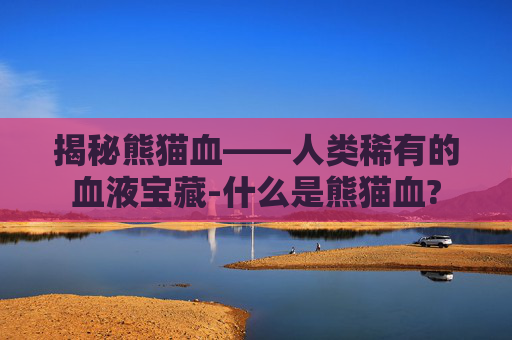 揭秘熊猫血——人类稀有的血液宝藏-什么是熊猫血?