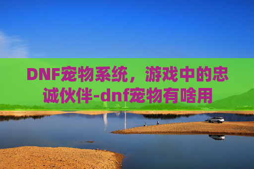 DNF宠物系统，游戏中的忠诚伙伴-dnf宠物有啥用
