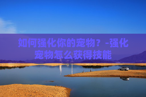 如何强化你的宠物？-强化宠物怎么获得技能