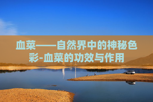 血菜——自然界中的神秘色彩-血菜的功效与作用