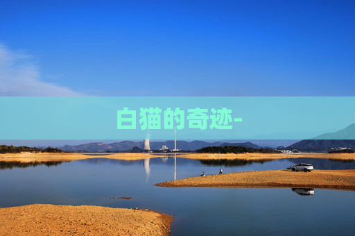 白猫的奇迹-