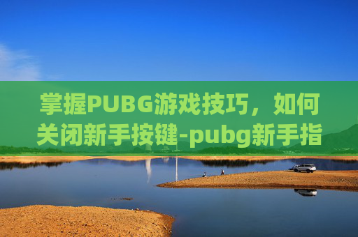 掌握PUBG游戏技巧，如何关闭新手按键-pubg新手指南按键怎么关