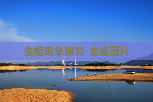 生蛆现象探究-生蛆图片
