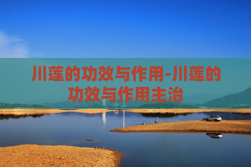 川莲的功效与作用-川莲的功效与作用主治