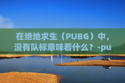 在绝地求生（PUBG）中，没有队标意味着什么？-pubg看不到队友队标