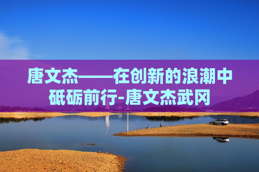 唐文杰——在创新的浪潮中砥砺前行-唐文杰武冈