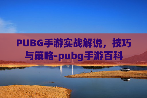 PUBG手游实战解说，技巧与策略-pubg手游百科