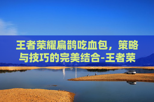 王者荣耀扁鹊吃血包，策略与技巧的完美结合-王者荣耀扁鹊吃血包怎么出装