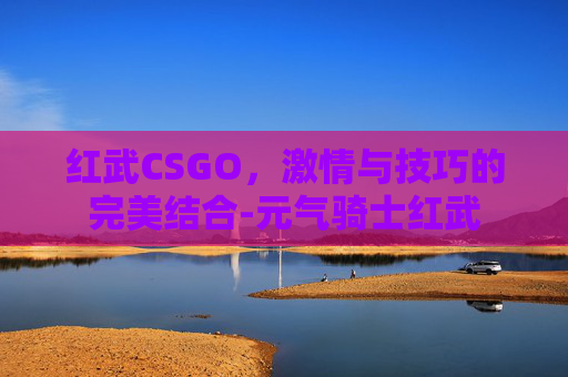 红武CSGO，激情与技巧的完美结合-元气骑士红武