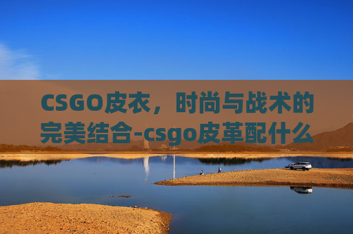 CSGO皮衣，时尚与战术的完美结合-csgo皮革配什么刀