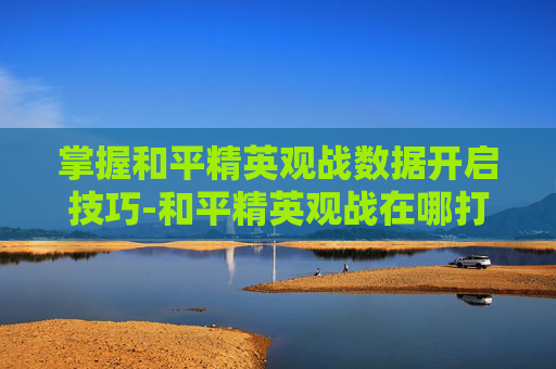 掌握和平精英观战数据开启技巧-和平精英观战在哪打开