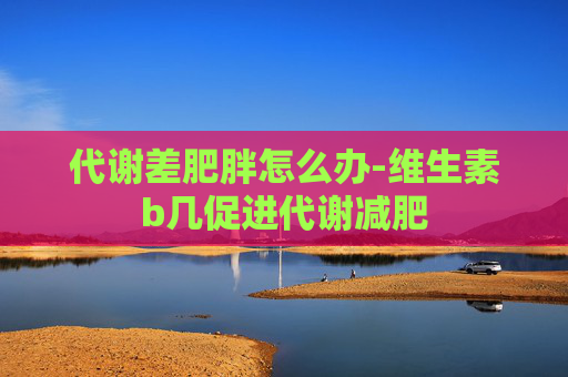 代谢差肥胖怎么办-维生素b几促进代谢减肥