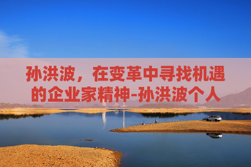 孙洪波，在变革中寻找机遇的企业家精神-孙洪波个人资料简介