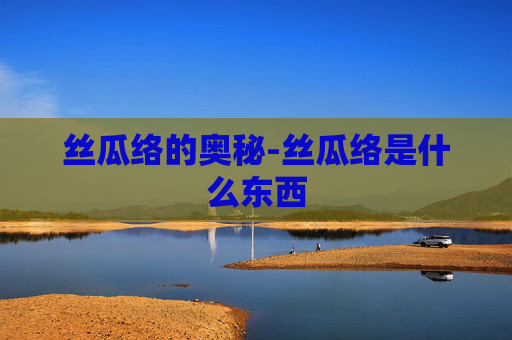 丝瓜络的奥秘-丝瓜络是什么东西