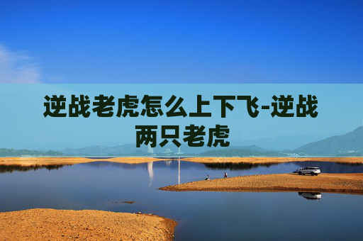 逆战老虎怎么上下飞-逆战两只老虎