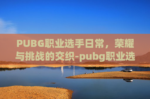 PUBG职业选手日常，荣耀与挑战的交织-pubg职业选手shen